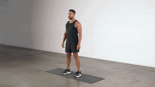 Bodyweight Squats demonstration