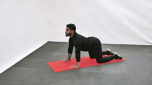 Cat Cow demonstration