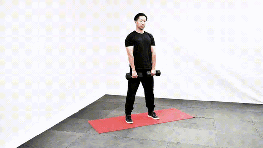 DB Romanian Deadlift demonstration
