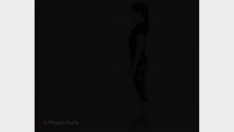 Standing Hamstring Stretch demonstration